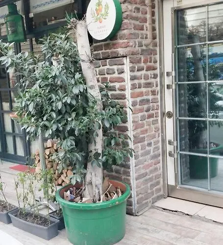 In The Heart Of Taksim 伊斯坦布尔